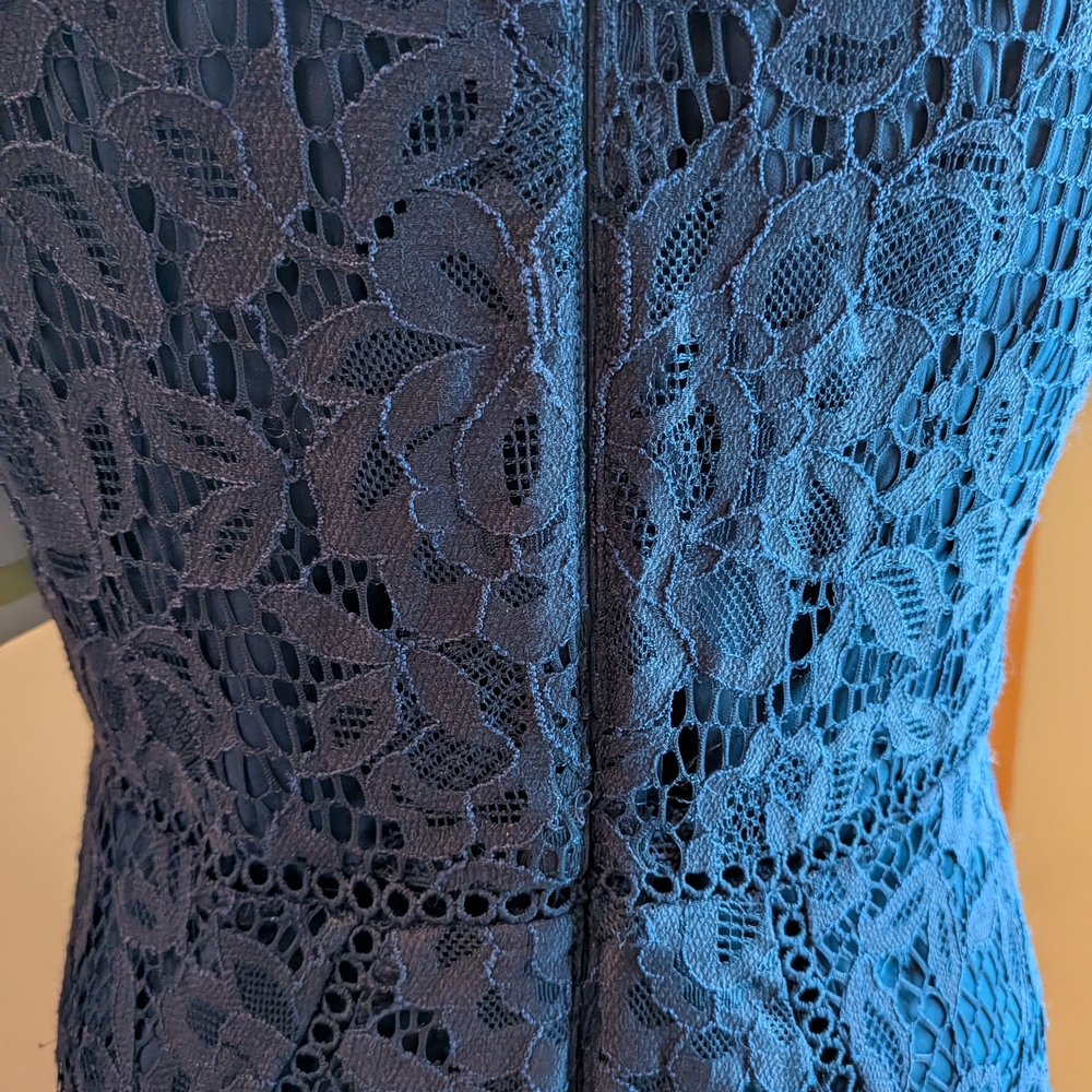 NEW Navy Taylor Lace Dress Size 4 - Picture 5 of 15